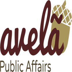 Avelã Public Affairs
